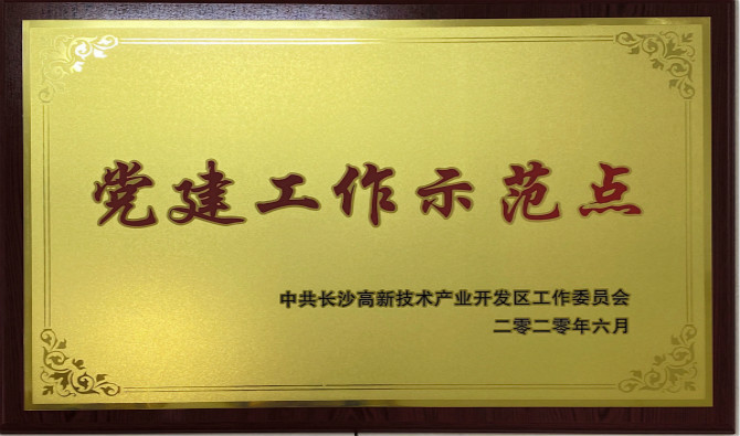 长沙高新区党工委授予中共抖圈股份有限公司委员会“党建工作示范点”“优秀党务工作者”荣誉称号